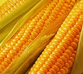 Mais